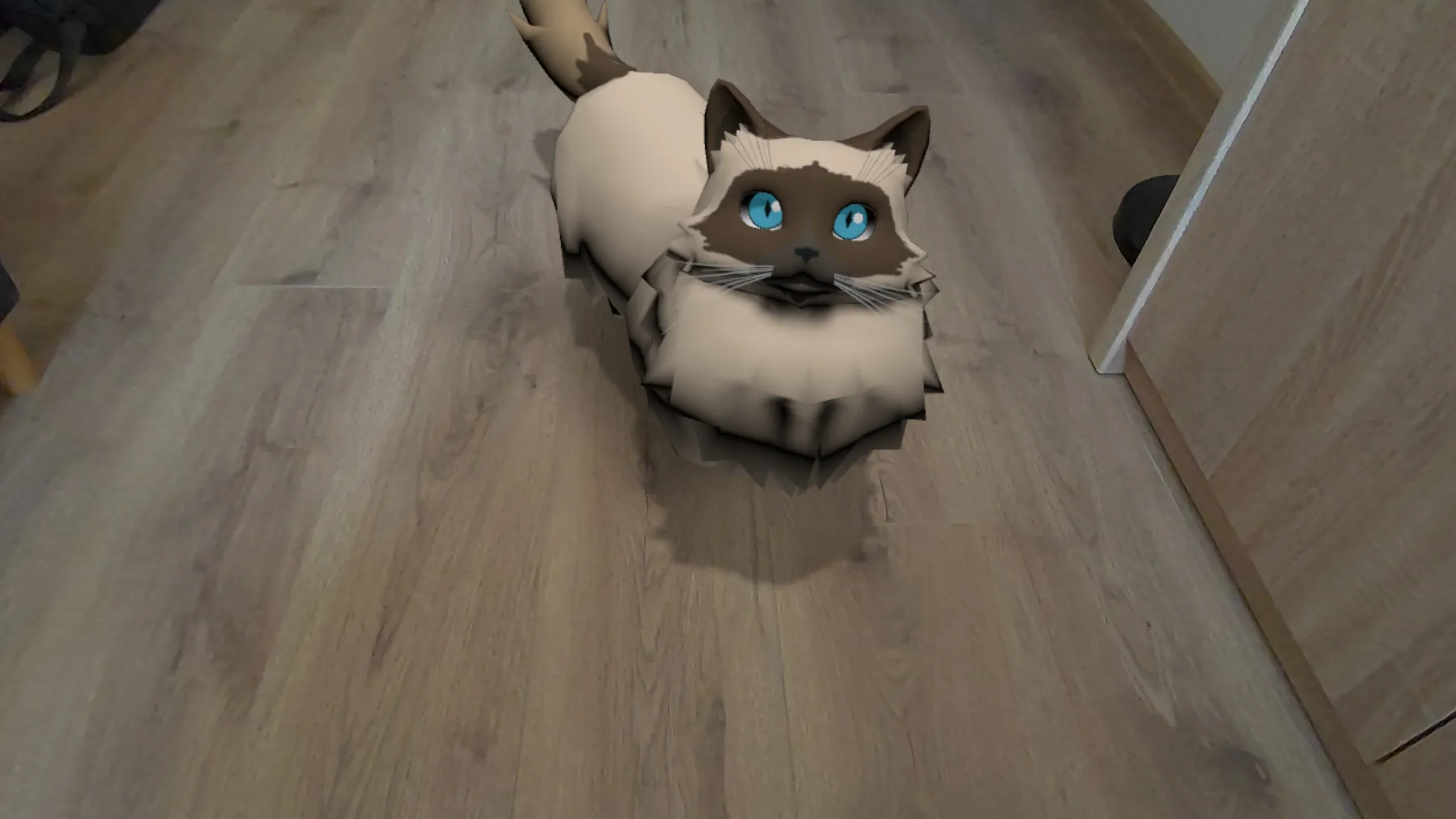 Maya the Birman looking up at the player in mixed reality