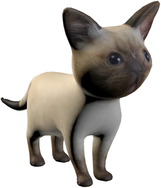 Babuleh, a cream Siamese kitten with dark points