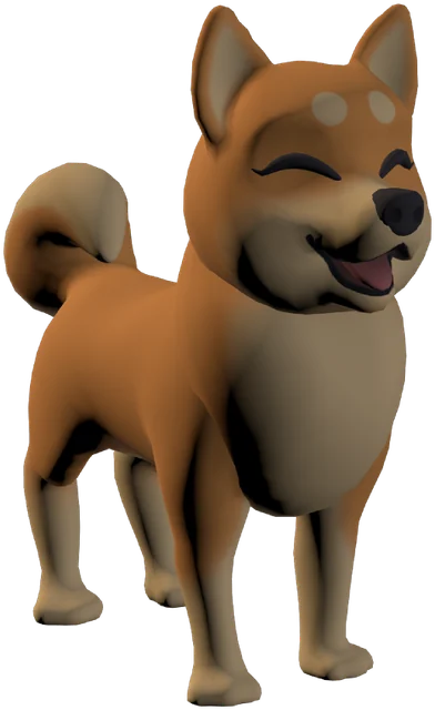 A Shiba Inu dog