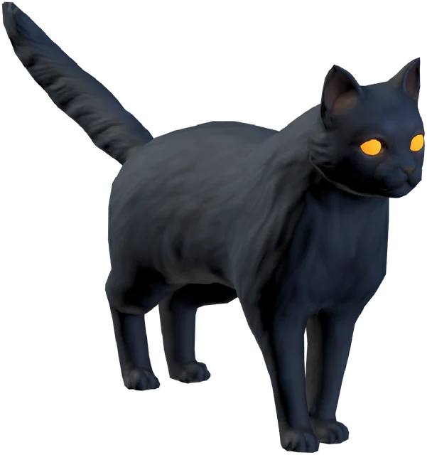 Spooky Cat, a midnight-blue cat with glowing amber eyes