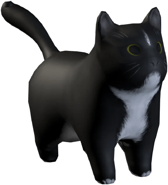 A black and white tuxedo cat